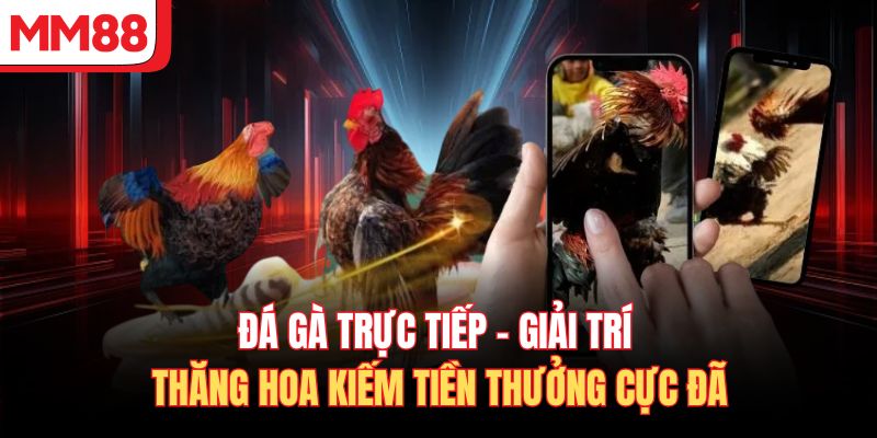 Đá Gà Trực Tiếp – Giải Trí Thăng Hoa Kiếm Tiền Thưởng Cực Đã